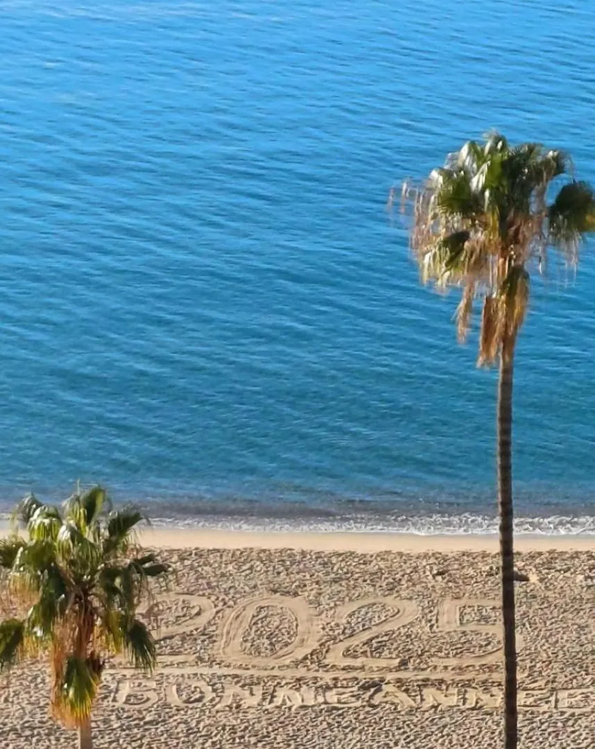 Cannes Seaside Beachfront Bord De Mer Apartment